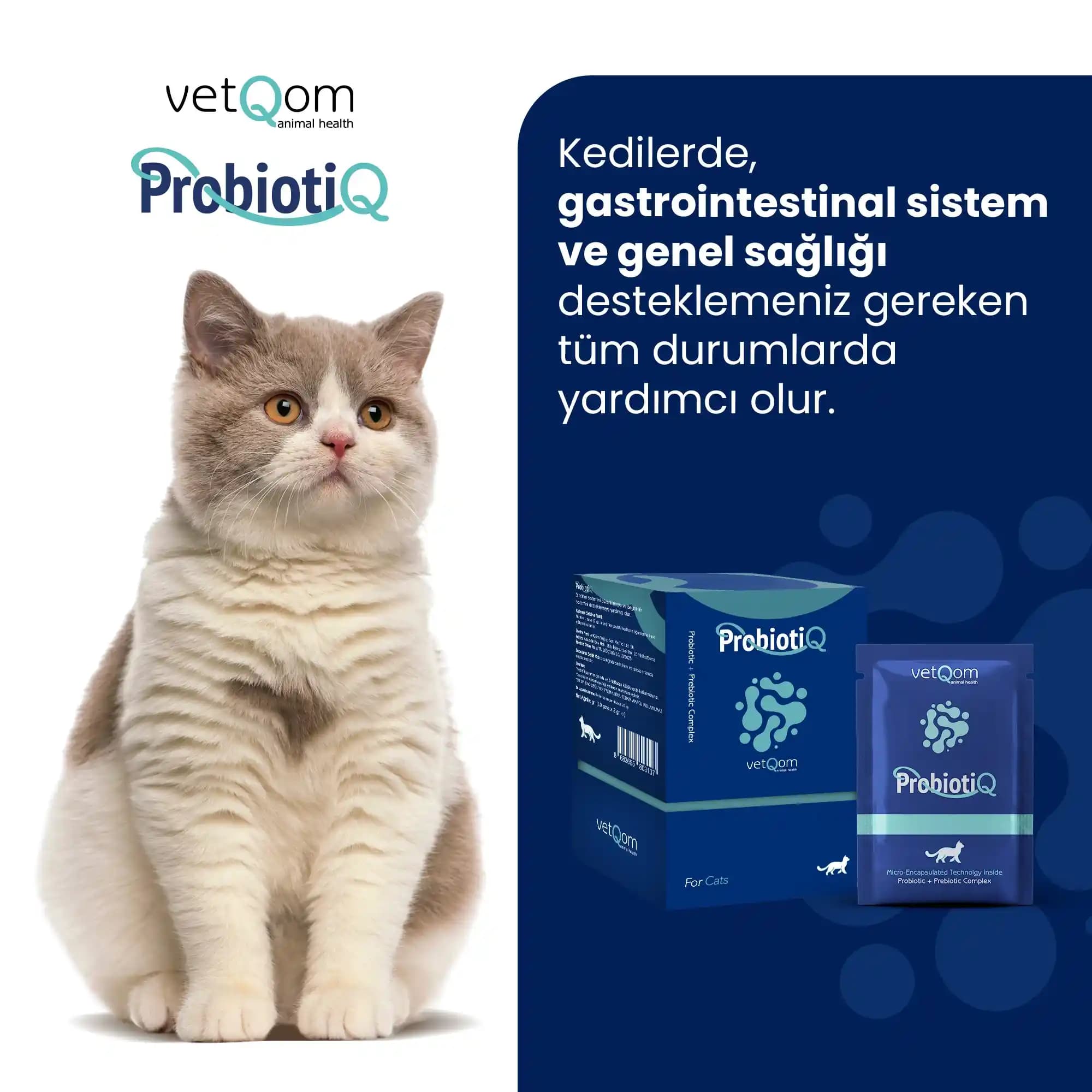 Kedi Probiyotikleri ve Bağırsak Sağlığını Destekleyen Doğal Çözüm