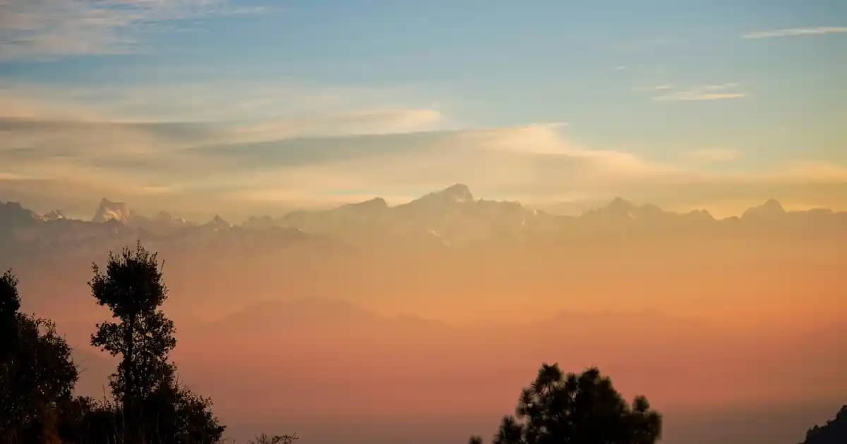 Kekik Yağı Kullanımı ve Potansiyel Zararları Hakkında Bilmeniz Gerekenler