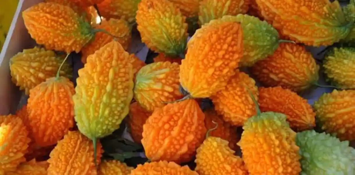 Kıdret Narı: Doğal Şifa Kaynağı ve Sağlık Üzerindeki Faydaları