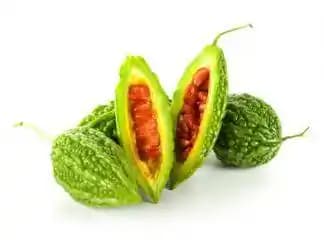 Kudret Otunun Sağlık ve Mutfak Alanlarındaki Kullanım Potansiyeli ve Faydaları