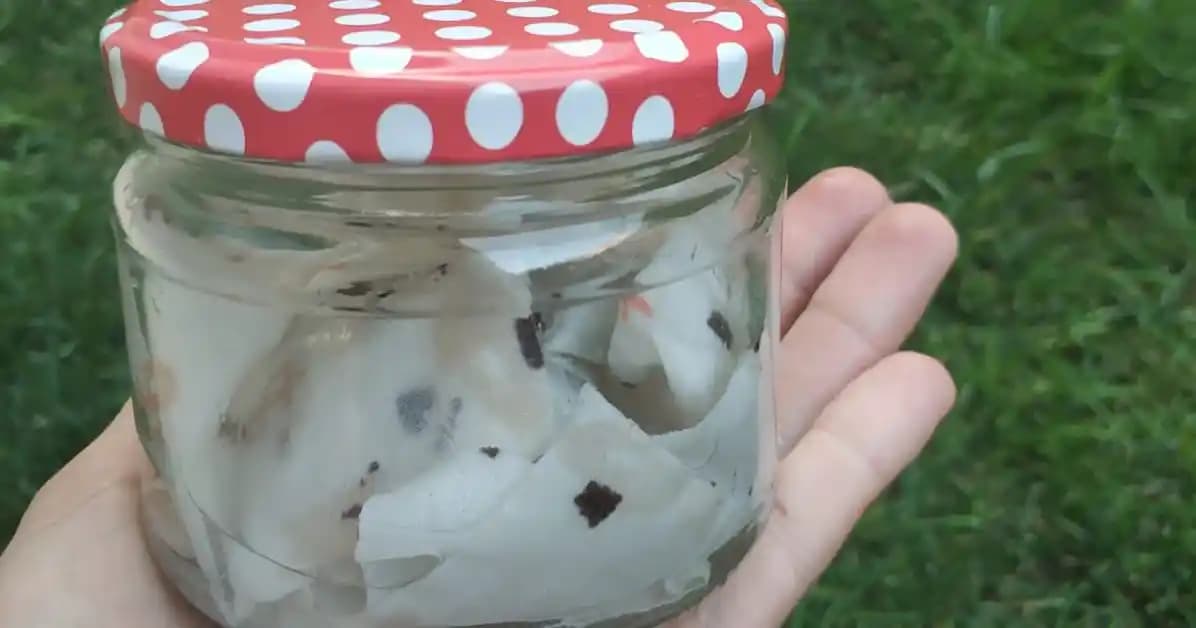 Kurutma Makinesi Koku Mendili ile Ferah ve Hijyenik Kurutma Deneyimi