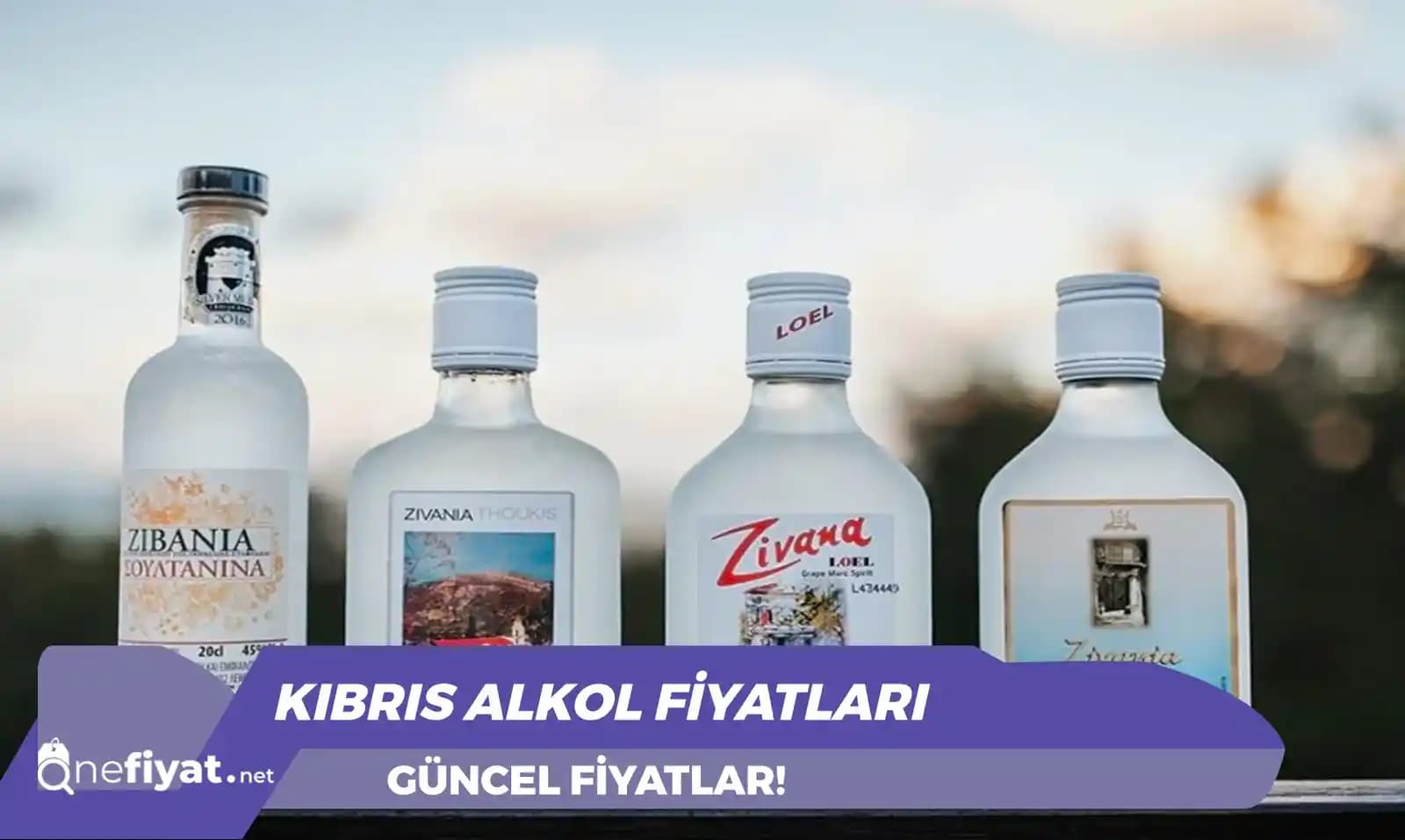 Kuzey Kıbrıs'ta Migros Mağazaları ve Alışveriş Deneyimi Analizi