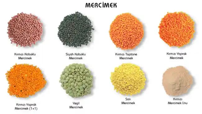 Mercimek Çeşitleri ve Özellikleri: Günümüz Mutfağında Çok Yönlülük ve Kullanım Alanları