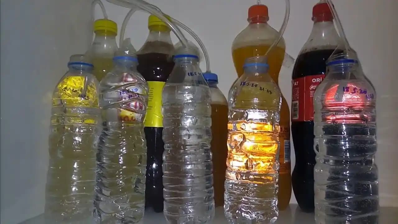 Meyve Aromalı Biralar: Doğal Tat ve Sağlık Faydalarıyla Yeni Bir İçim Deneyimi