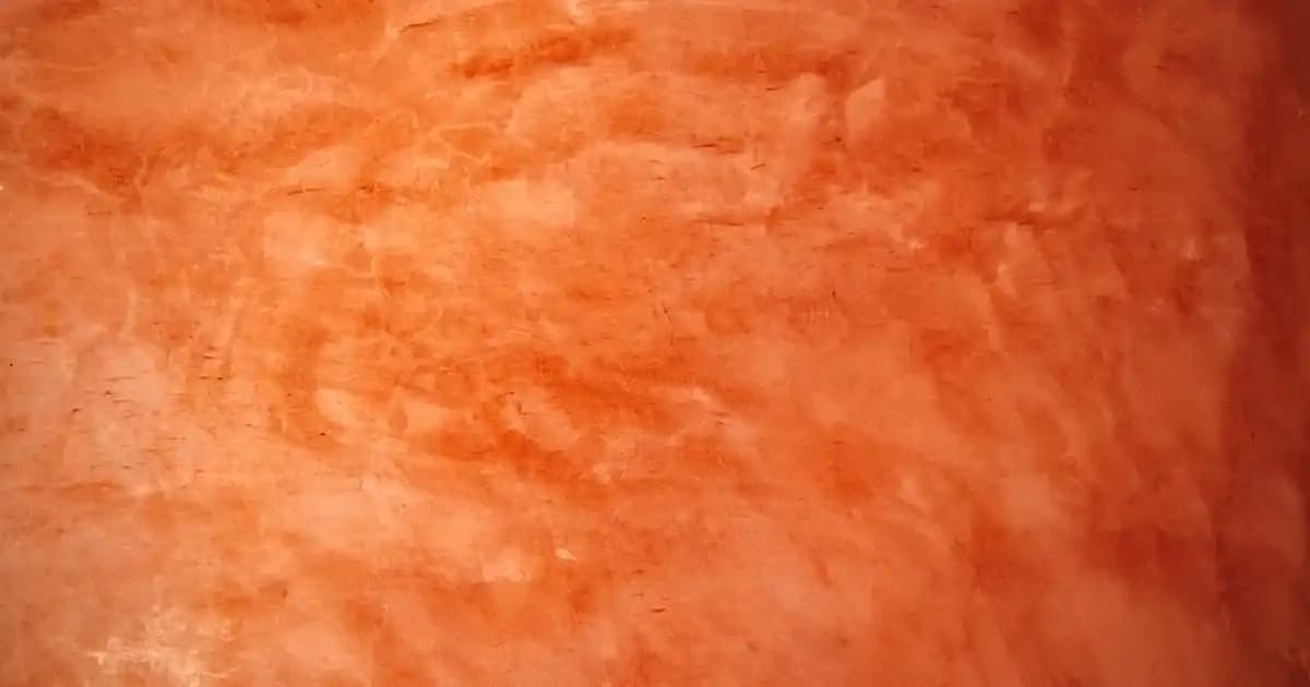 Midyeli Makarnanın Hazırlanışı ve Lezzetli Sunum İpuçları