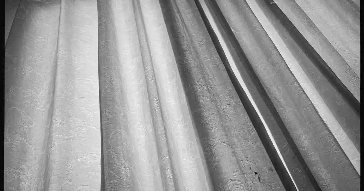 Migros'ta Balık Fiyatları ve Tüketici Rehberi Güncel Durum ve İpuçları