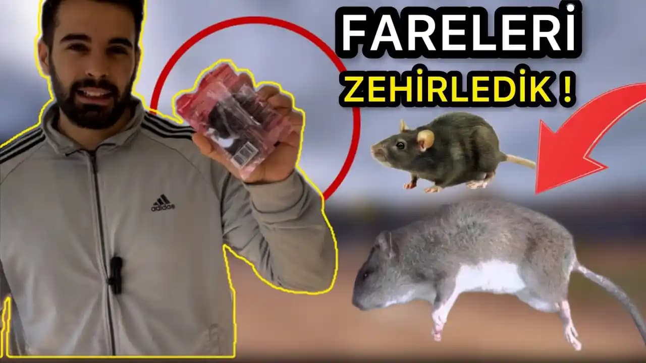 Migros'ta Fare Zehiri Var mı? Ürün Çeşitleri ve Güvenlik İpuçları