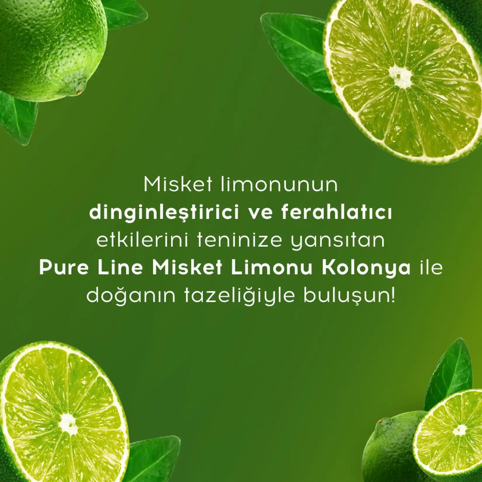 Migros'ta Misket Limonu: Taze ve Aromatik Ürünlerle Günlük Kullanım Rehberi