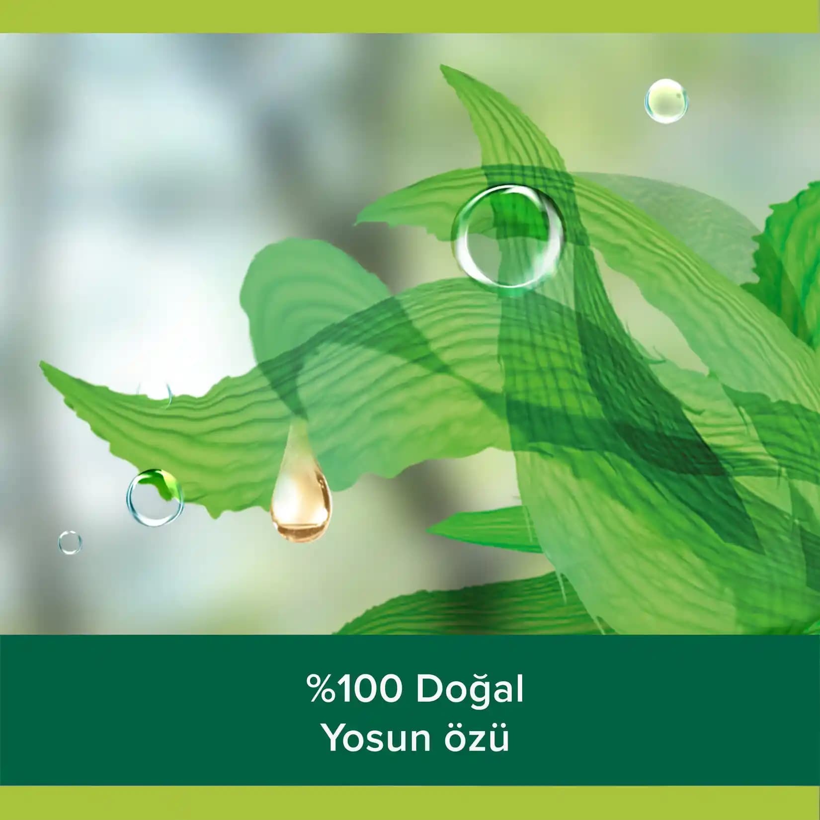 Migros'ta Yosun Ürünleri: Sağlıklı Beslenme ve Marketlerdeki Güncel Durum