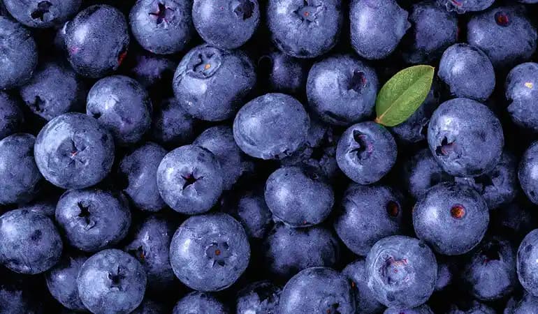 Mor Sebze ve Meyvelerin Sağlık Faydaları ve Kullanım Alanları