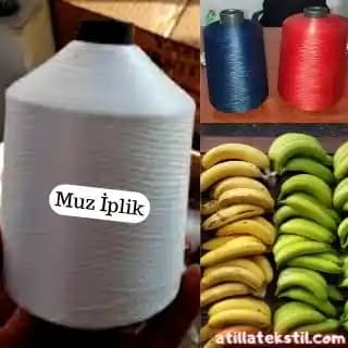 Muz Lifi Nedir, Kullanım Alanları ve Çevre Dostu Avantajları Hakkında Bilgi