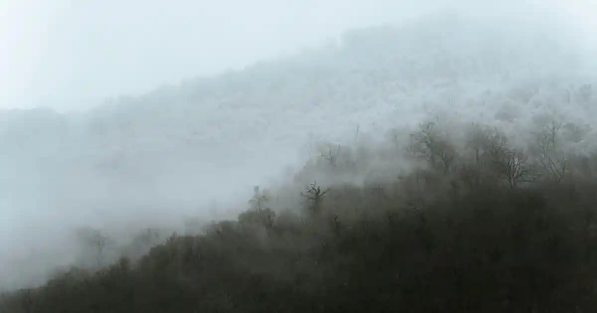 Nescafe Classic: Günümüz Kahve Severleri İçin Pratik ve Lezzetli Çözüm