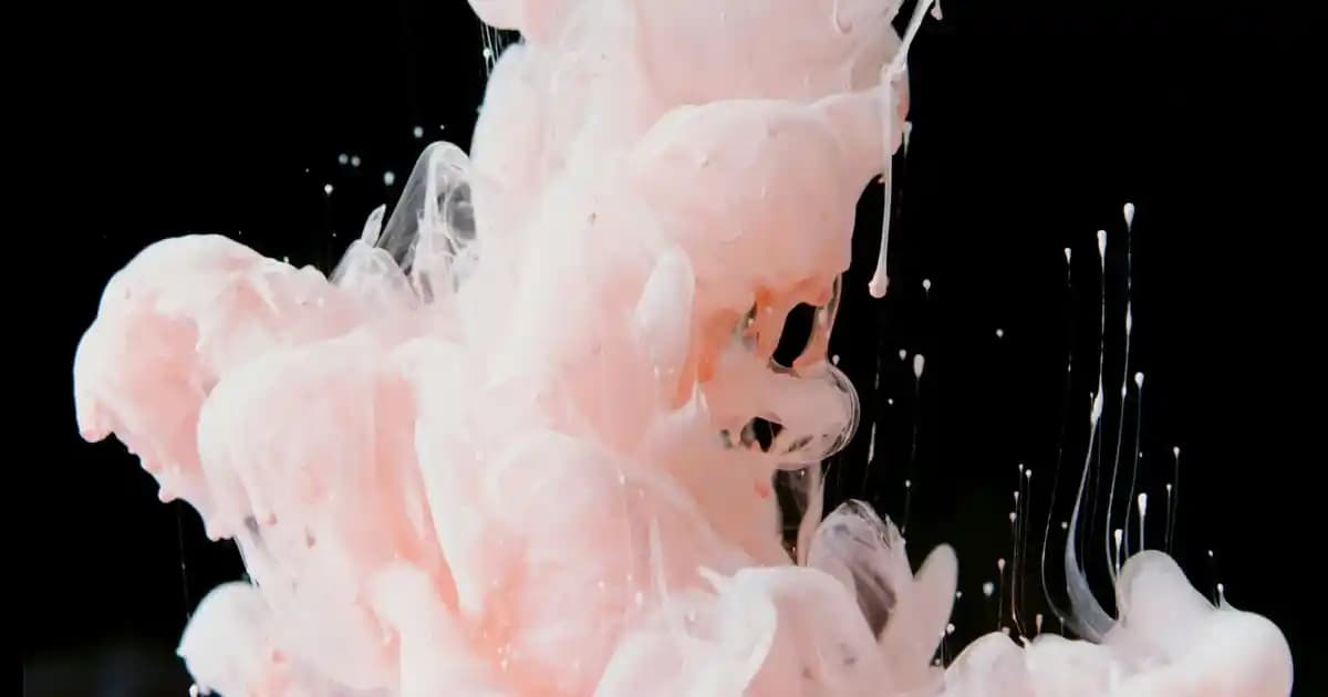 Pasta Çeşitleri ve Kullanım Alanları: Farklı Şekil ve Tariflerle Mutfakta Yaratıcılık