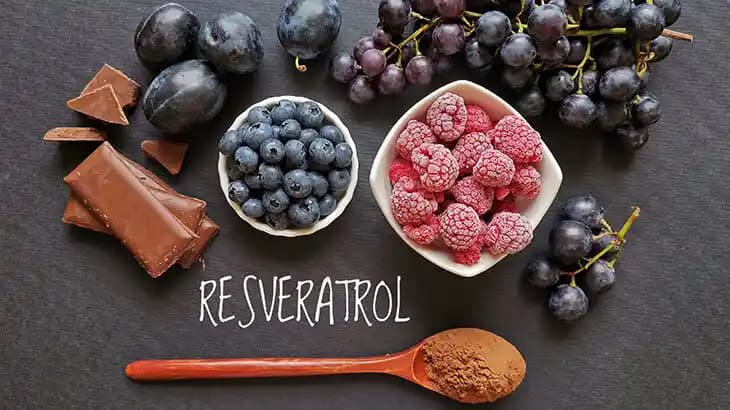 Resveratrolün Sağlık Üzerindeki Etkileri ve Doğal Antioksidan Olarak Faydaları