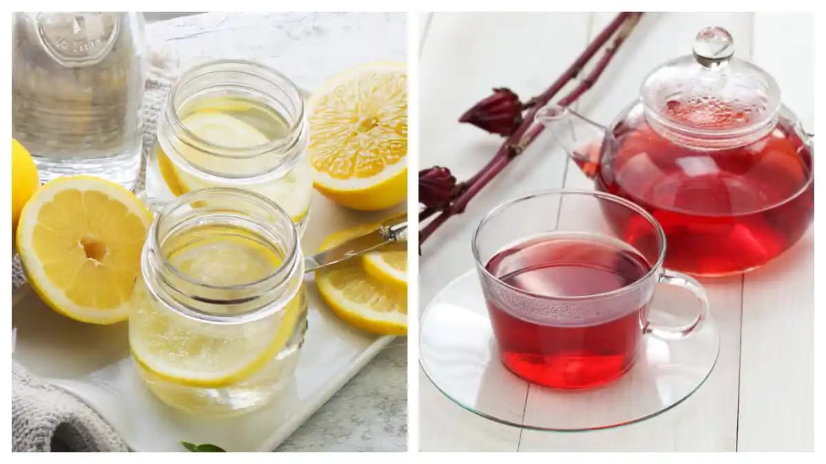 Sindirim Sağlığını Destekleyen Doğal ve Pratik İçecekler Rehberi