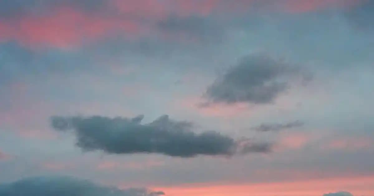 Solgar VM Ürünleri ile Sağlıklı Yaşam Destekleri ve Geniş Ürün Yelpazesi