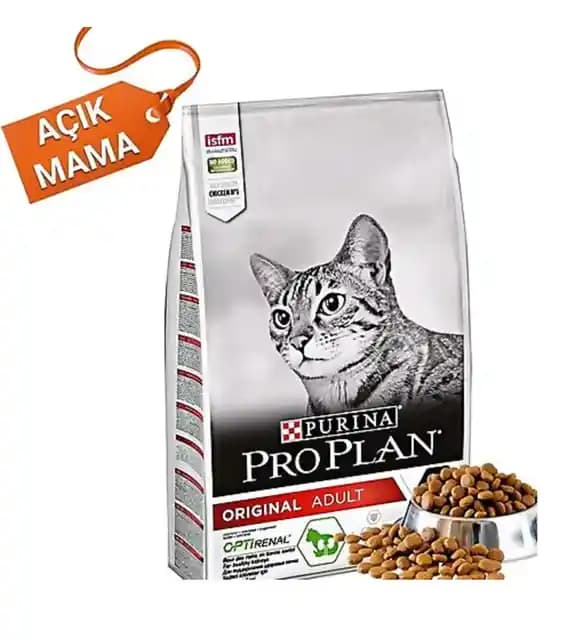 Somonlu Kedi Mamaları: Sağlıklı ve Lezzetli Seçenekler Hakkında Bilmeniz Gerekenler