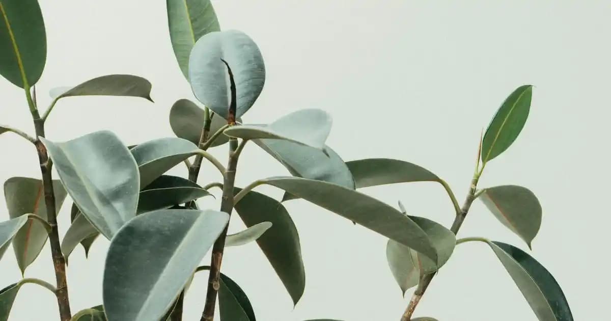 Sprey Boya Sökücüleri Kullanımı ve Güvenlik İpuçları Hakkında Detaylı Bilgi