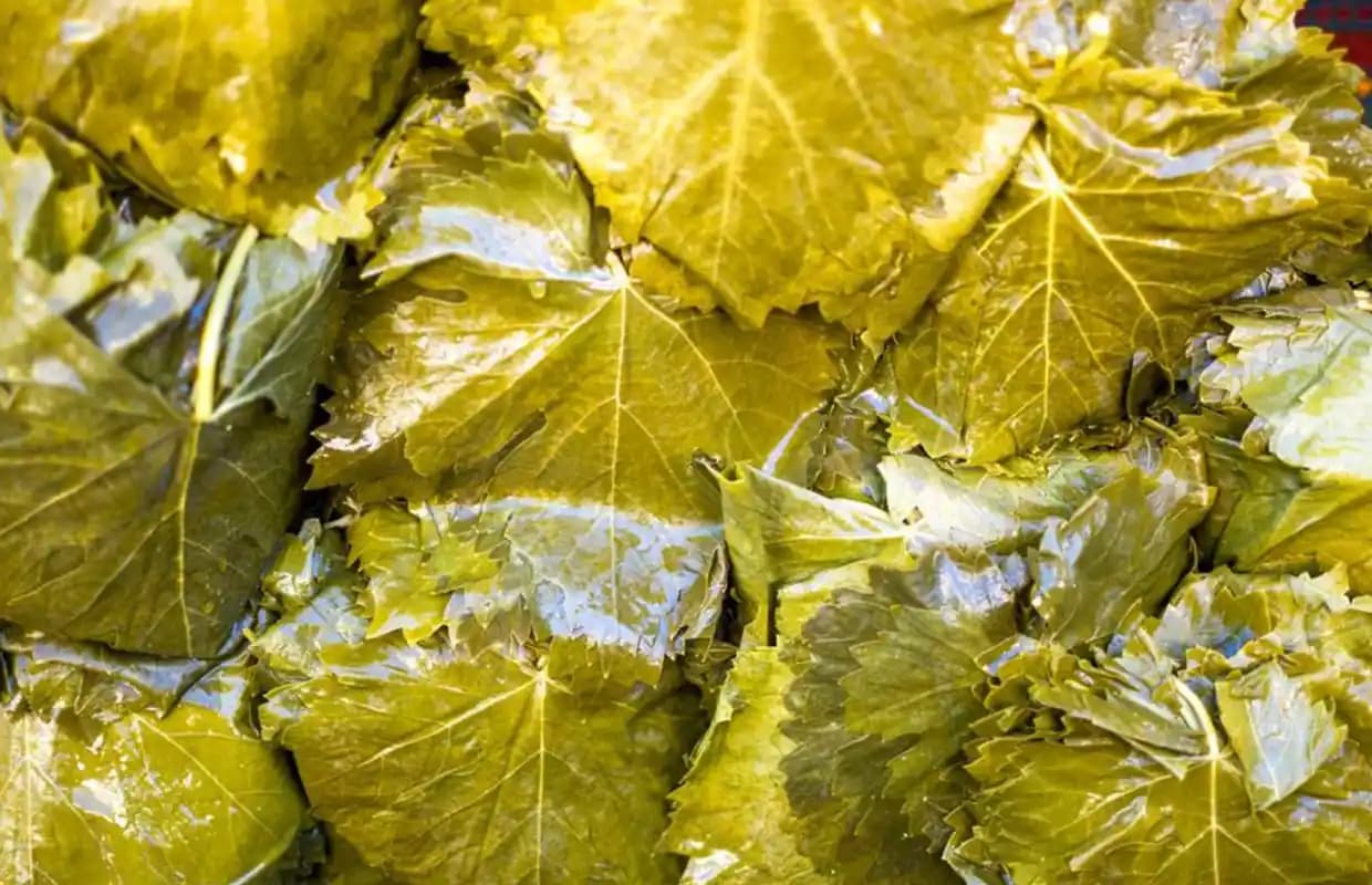 Tokat Salamura Yaprakları: Geleneksel Üretimle Doğal ve Kaliteli Lezzet