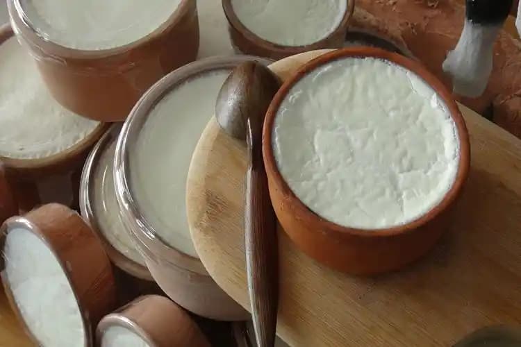 Türkiye ve çevresinde yoğurdun bölgeler ve özellikleri üzerine kapsamlı bilgi