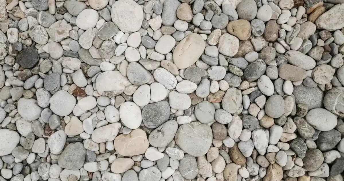 Türkiye’de Market Zincirleri ve Ürün Çeşitleri Üzerine Güncel Bir Analiz