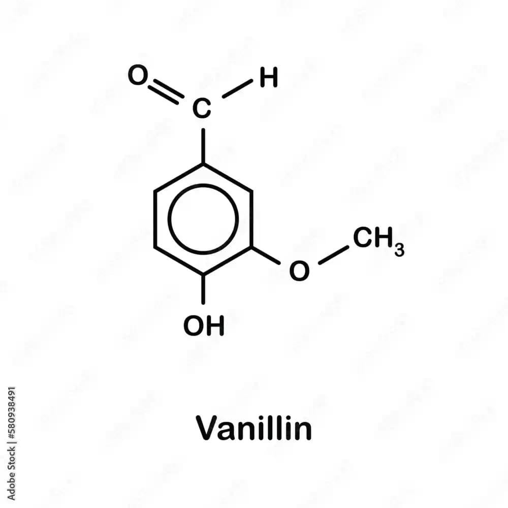Vanilin: Mutfak ve Ev Ürünlerinde Aromanın Gücü ve Kullanım Alanları