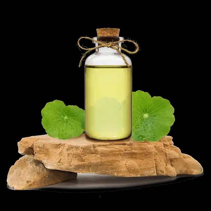 Yağ Bazlı Gotu Kola Ekstraktları: Doğal Güzellik ve Sağlık İçin Güçlü Bir Kaynak