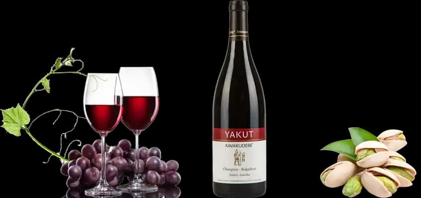 Yakut Şarabı: Kuzey Sibirya'nın Soğuk İkliminde Geleneksel Fermente İçecekler