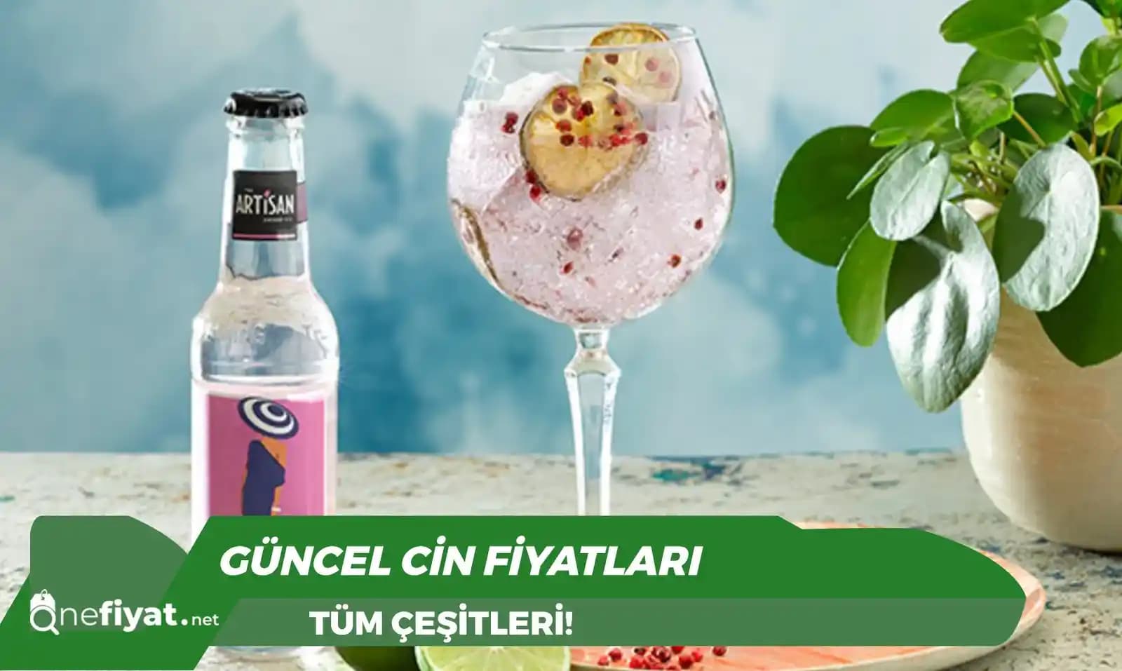 Yeni Meyveli Alkol Ürünleri ve Piyasa Analizi: Trendler ve Tüketici Tercihleri