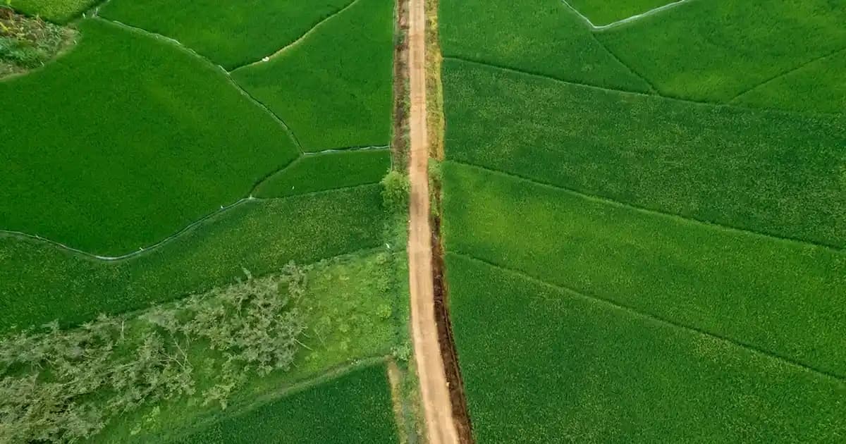 Yerli Bulaşık Makinesi Tableti: Mutfak Hijyeninde Pratik ve Güvenilir Çözüm