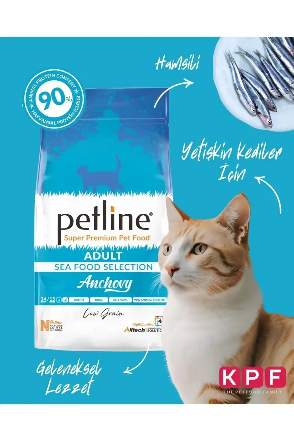 Yerli Kedi Mamaları: Güvenilirlik ve Kalite İçin Güncel Seçenekler ve Dikkat Edilmesi Gerekenler