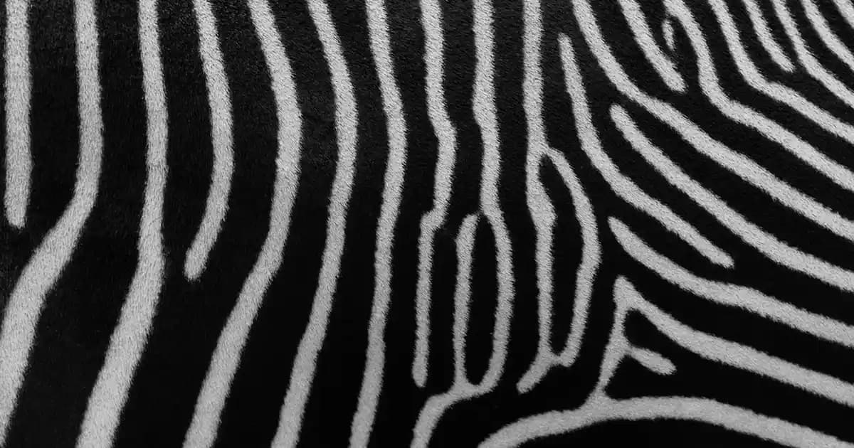 Zelve Zile Pekmezi ve Su, Enerji Kullanımı ile Sürdürülebilirlik Bağlantısı