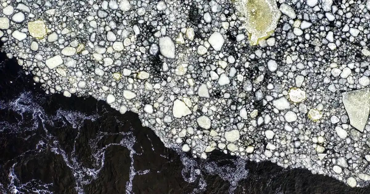 Zerobite Bitki Özlü Sinek ve Kene Kovucu Sprey 100 ml Doğal ve Güvenli Koruma Çözümü