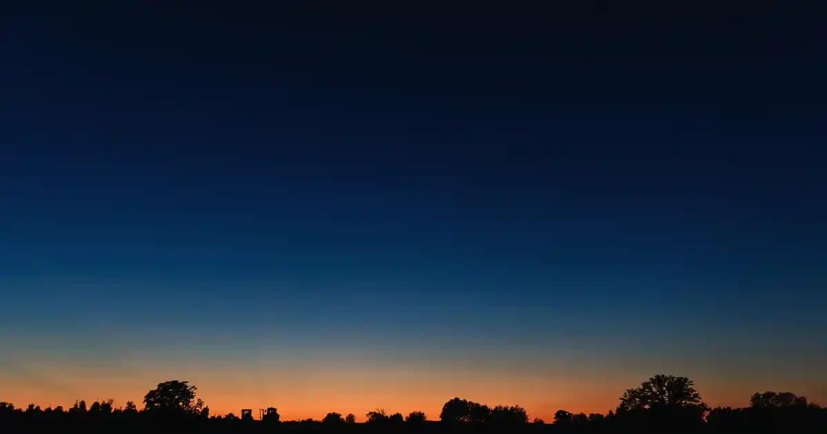 2025'te 5 Litre Ayçiçek Yağıyla Bütçe ve Lezzette Devrim Yapın