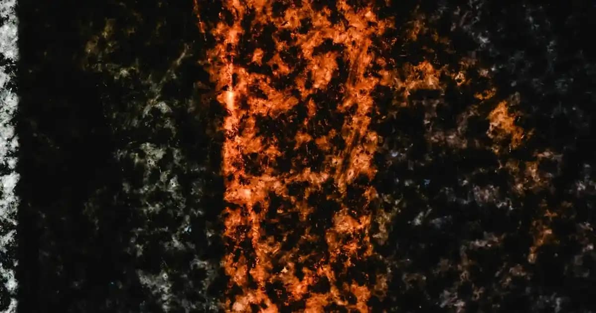 2025'te Acerola Meyve Tozu ile Sağlığınızda Devrim Yaratın