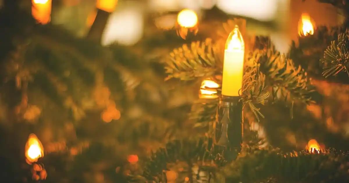 Alman Çikolatası ve Ferrero Rocher: Farklı Kültürlerin Lezzet ve Şıklık Buluşması