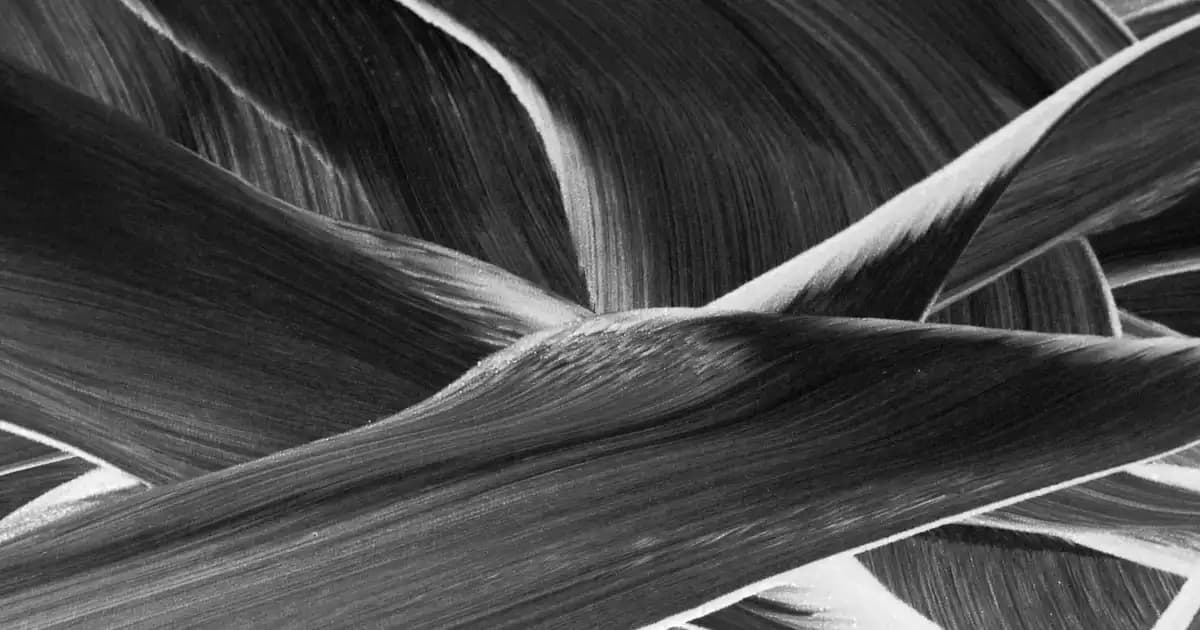 Ankara'da Toptan Gıda Alımında Güvenilir ve Çeşitli Kaynaklar Hakkında Rehber