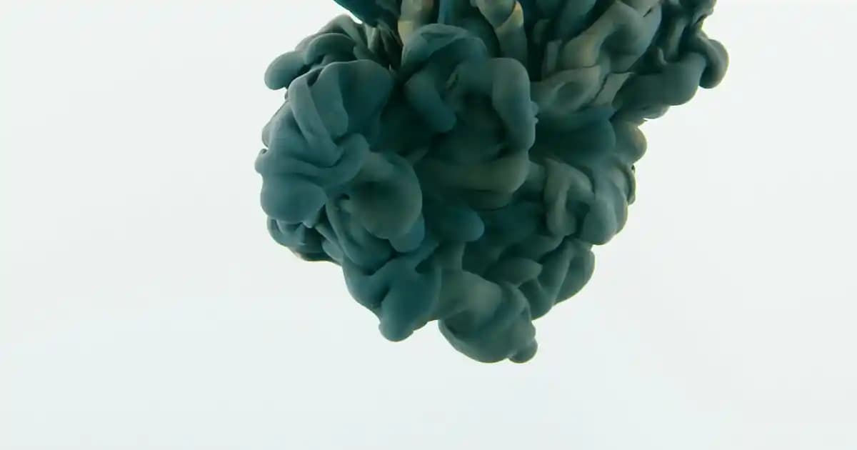 2025'te Bakkal Emziği Seçmenin 5 Sağlık ve Konfor Sırrı