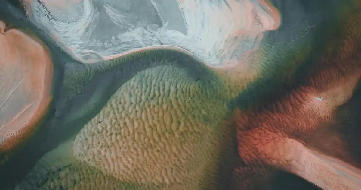 Balık Sırtı Şeritleri Süpermarket Rehberi: Özellikleri, Kullanım Alanları ve Alım İpuçları