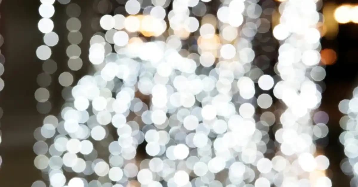 2025'te Balık Yağı Üretiminin 5 Sırrı: Sağlığınızı Değiştirecek Bilgiler