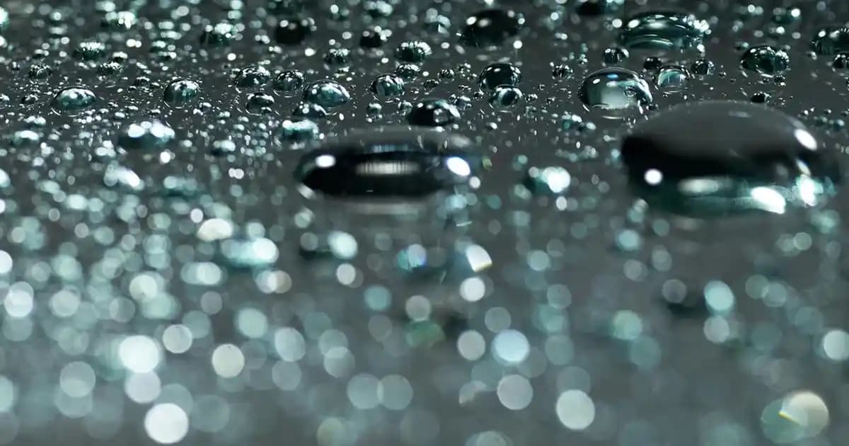 Bor Şeker 5 Kg: Ekonomik ve Çok Yönlü Kullanımıyla Marketlerde En Çok Tercih Edilen Toz Şeker