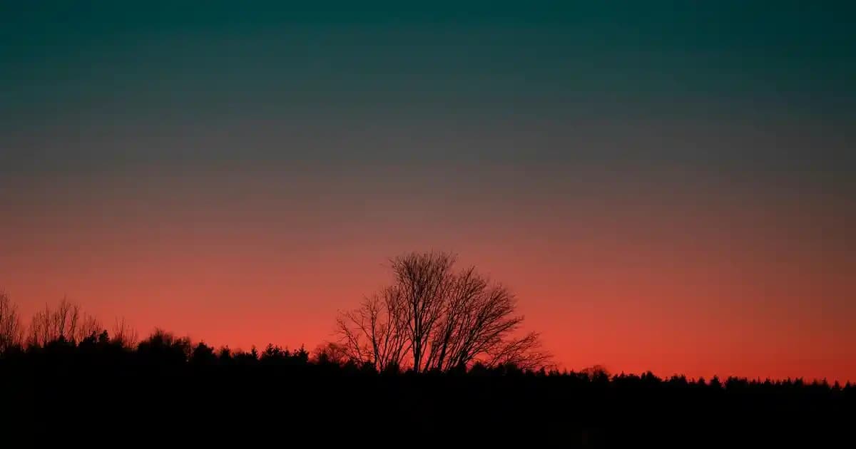 2025'te Buğday Ruşeymi ile Sağlığınızı Baştan Yaratmanın 5 Sırrı