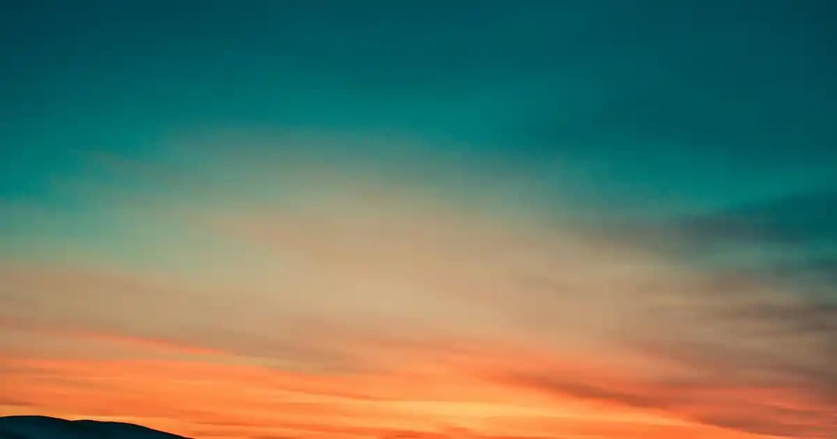 Bursa'da Biyometrik ve Vesikalık Fotoğraf Fiyatları ve En İyi Hizmet Seçenekleri