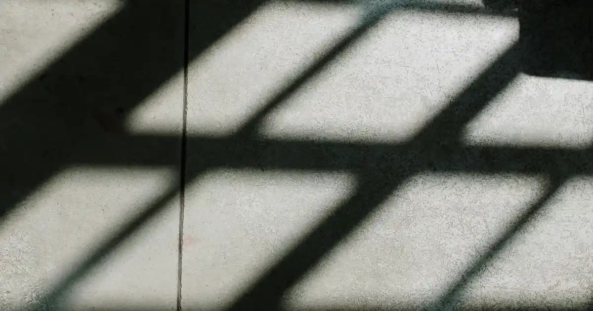 Çemen Yağı Faydaları ve Kullanım Alanları Sağlık ve Güzellikte Doğal Bir Kaynak