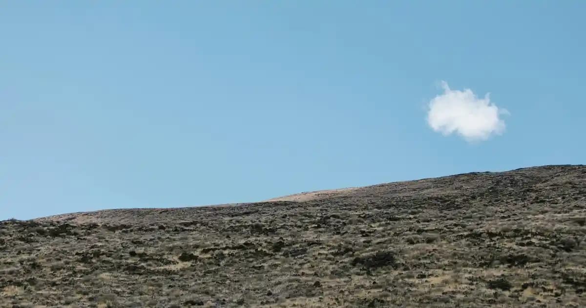 Çengelköy Migros'ta 2025'te Alışverişin 5 Sırrı: Kolaylık ve Güven