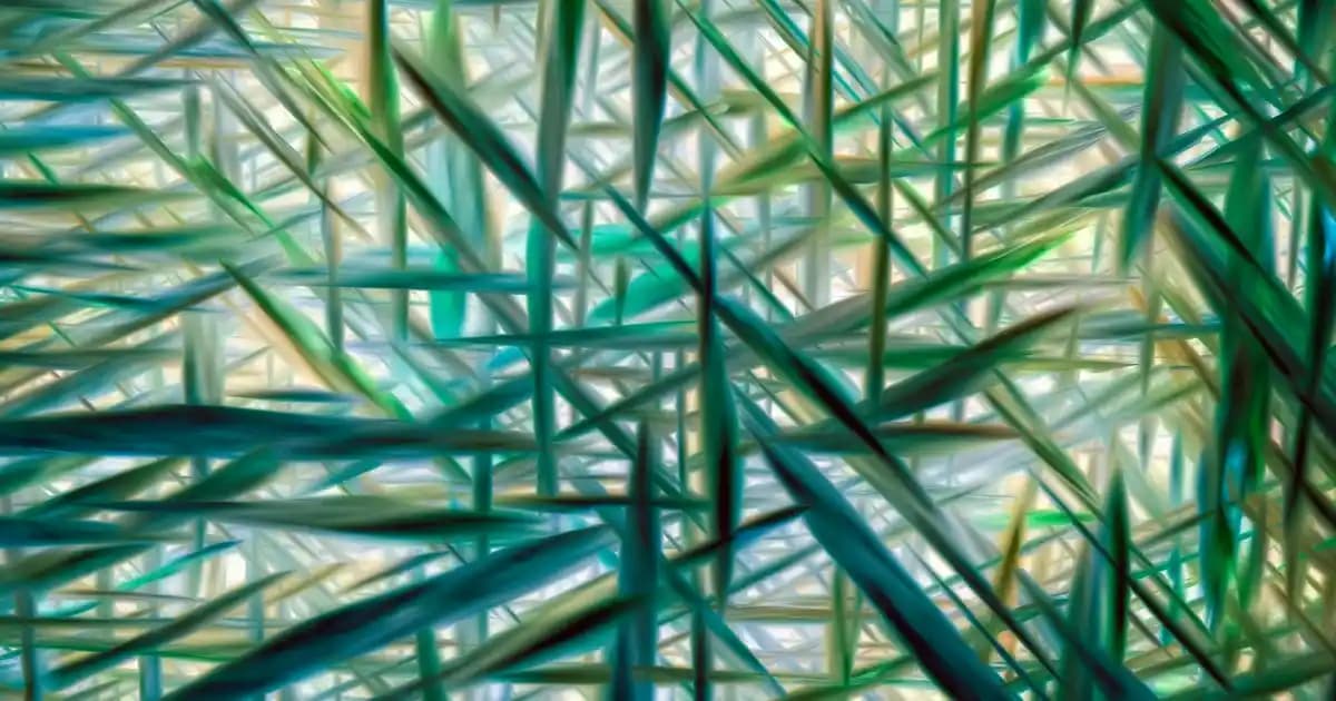 2025'te Çeşme Migros ile Tatilinizi Kolaylaştıracak 5 Neden