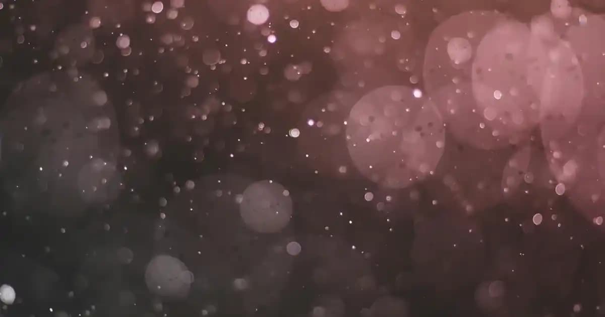 Çörek Otu Yağı Kapsülü: Sağlık ve Doğallık Arasında Güçlü Bir Bağlantı