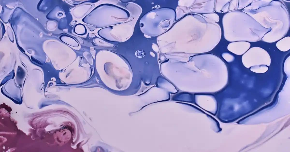 2025'te Çubuk Tarçınla Mutfakta Sağlık ve Lezzet Devrimi