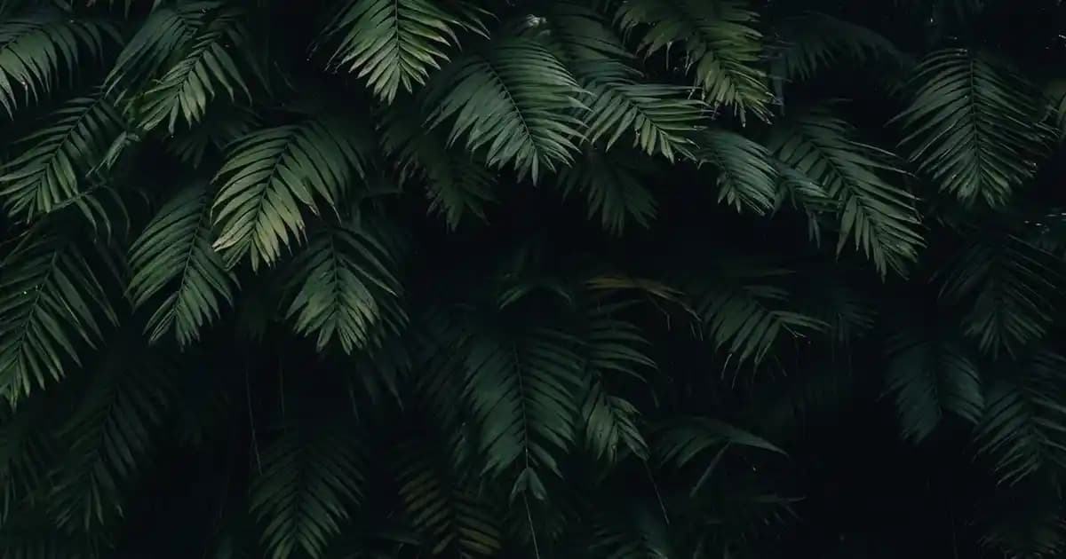 2025'te Dilan Polat Aloe Vera Sabunu ile Cildinizde Doğal Devrim