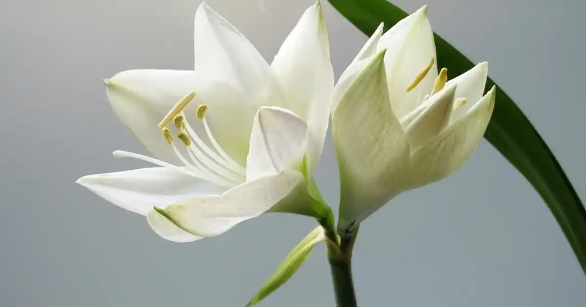 Dubai'de Şirket Kurma Rehberi: Süpermarket İşletmeciliğinde Başarılı Olmanın Yolları